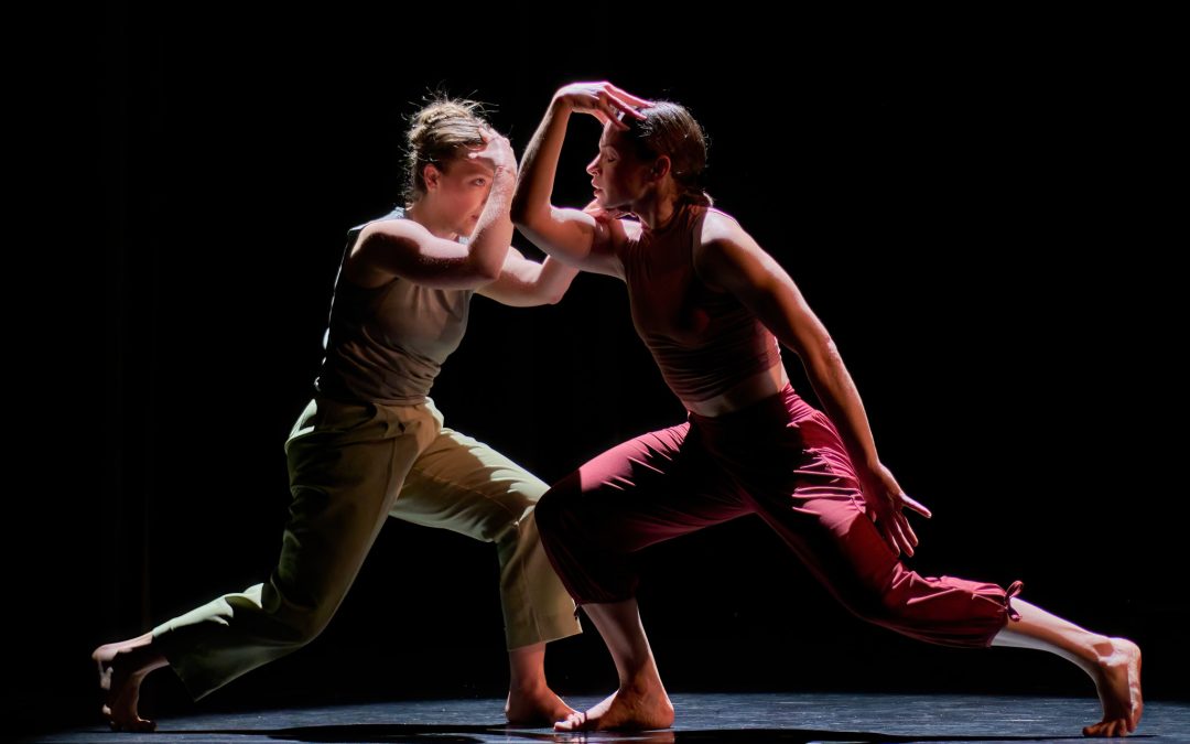 Everyday Dances III Company Performance