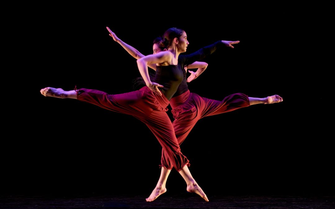 SDMA+ MALASHOCK DANCE: COMPANIONS