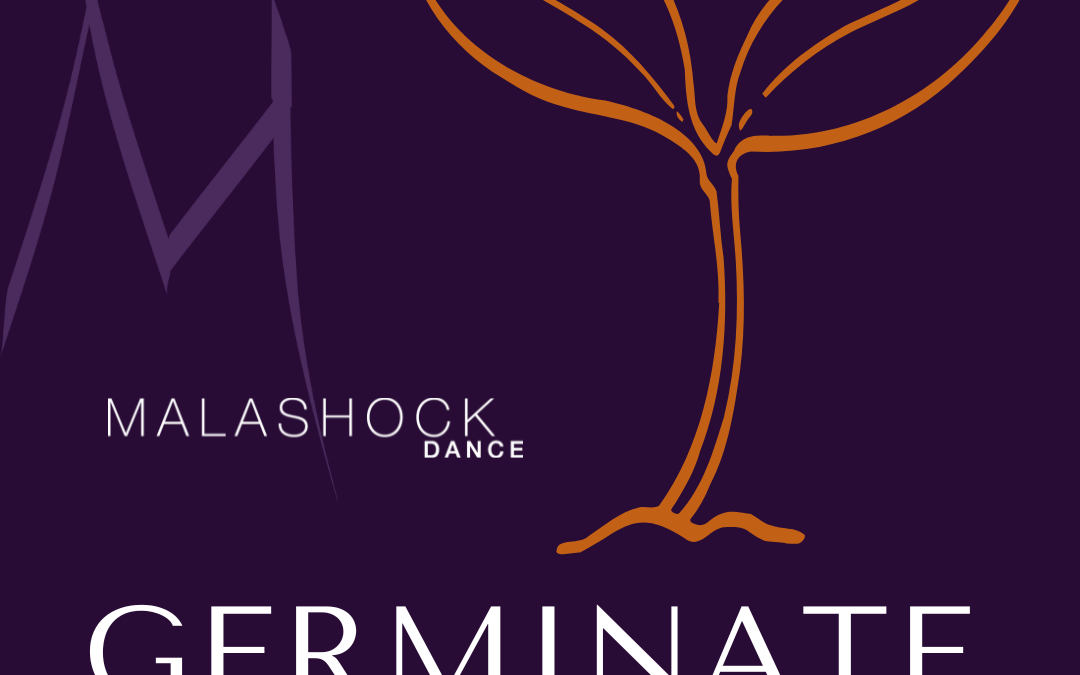 GERMINATE: Space Grants for Dance Artists