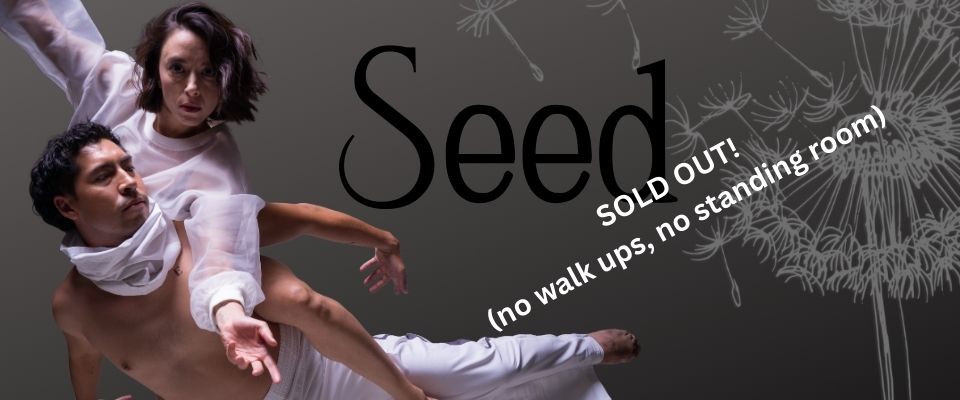 Seed Ticketleap banner (960 x 400 px)